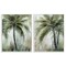 Stupell Industries Palm Trees Impressions 2pc Framed Giclee Wall Art Set Design by Nan